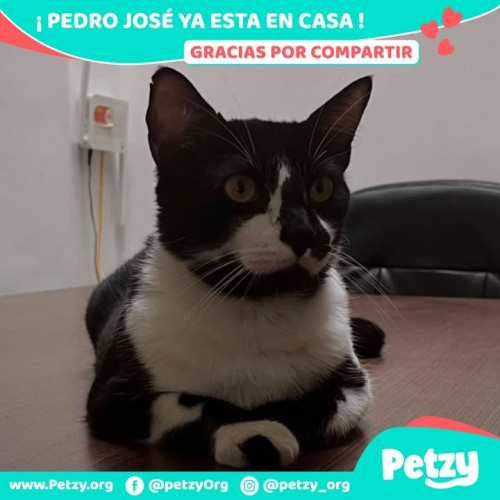 Pedro José