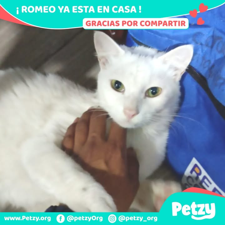 Romeo