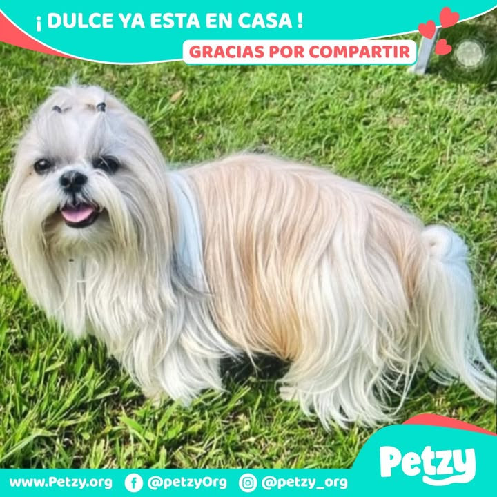 Dulce