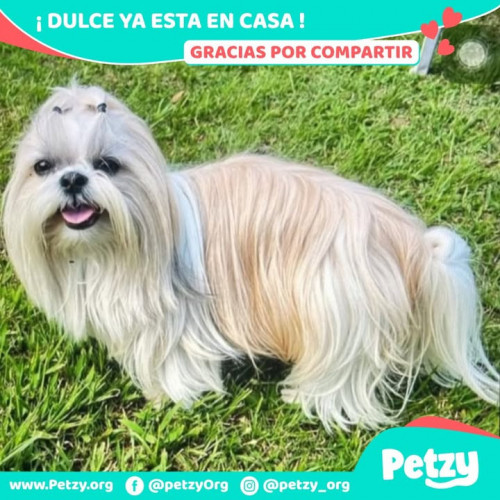 Dulce
